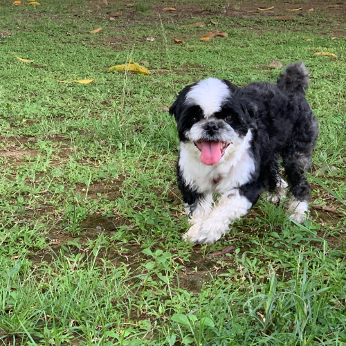 All These Things # 1